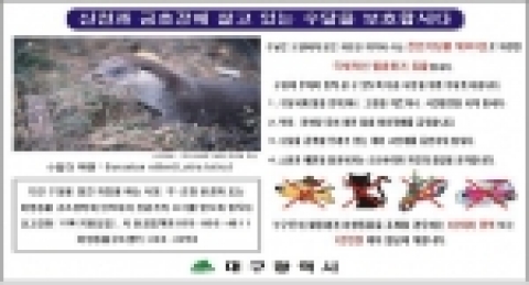 대구시가 설치한 수달서식 홍보 대형안내판