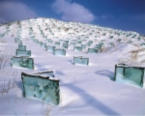 2005년 제1회 국토사랑 환경사진 공모전 대상 (작품명 : 아름다운 조림지)