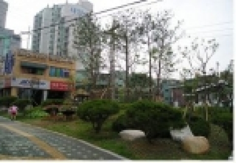 자투리땅 녹화사례 후