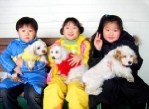 “바둑이 사랑방” 무료학습 프로그램 운영