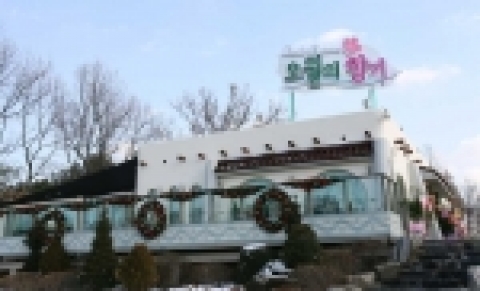 '오월의 향기'의 전경