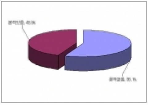 불법영화파일 관람 경험