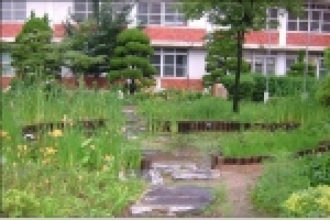 생태연못 조성 및 자연학습장 이용 (양천구 월촌초)