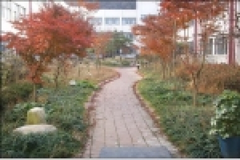 녹지대 및 산책로 조성하여 공원화 (관악구 당곡고)