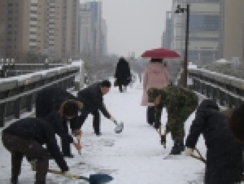 고양시 일산동구 눈 치우기