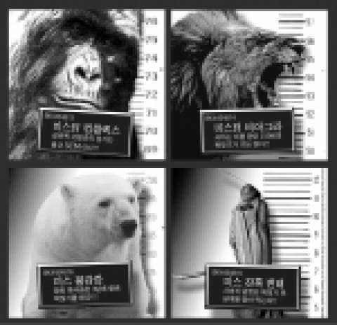 내셔널지오그래픽채널 NGC 테마기획 '와일드 섹스' 