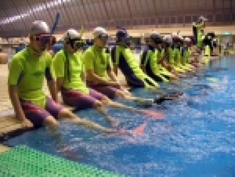 산호수중, 스킨스쿠버 1일 무료체험 행사 실시
