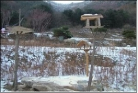 별새꽃돌 탐사관(충북 제천)에서 설치한 조류 먹이대