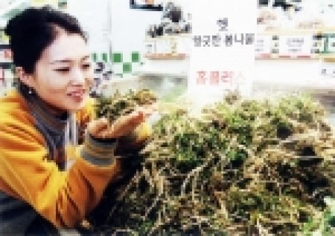 삼성테스코 홈플러스는 2월 16일(목)부터 2월 28일(화)까지 “봄나물 모음전”행사를 갖고, 이제 막 녹기 시작한 대지를 뚫고 나온 씀바귀, 취나물, 참나물, 돈나물 등 다양한 