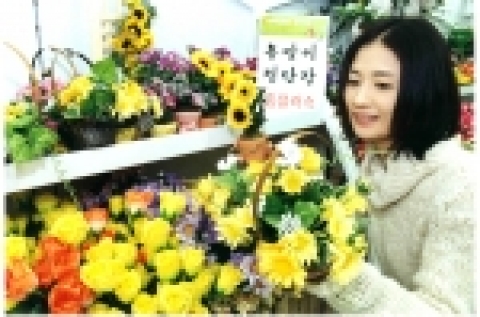 삼성테스코 홈플러스는 오는 20일부터 다음 달 8일까지 봄맞이 집단장 용품 특집전 행사를 마련, 청소용품과 집수리용품을 비롯하여 집안을 화사하게 꾸밀 수 있는 침구, 커튼, 수납제