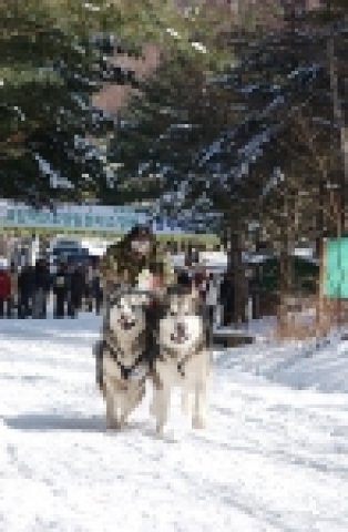 산림청 자연휴양림이 휴양림의 지리ㆍ환경적 특성과 문화유적, 레포츠 시설 등과 같은 주변 배후시설과 연계한 다양한 레져상품을 개발해 테마형 휴양림을 선보일 예정이다.