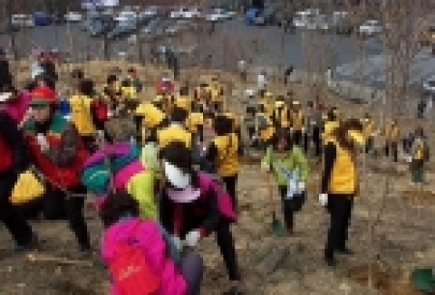 나무심기 전경