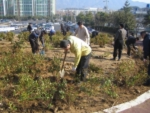 정은효 이사장을 비롯한 공단 직원 50여명은 지난 24일 수영장 뒤편 마라톤코스 주변 공한지 200여m에 영산홍 4,000주를 심었다.