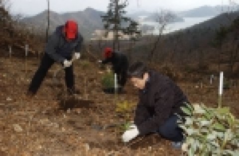 3월2일 전남 진도 여귀산에서의 나무심기행사 