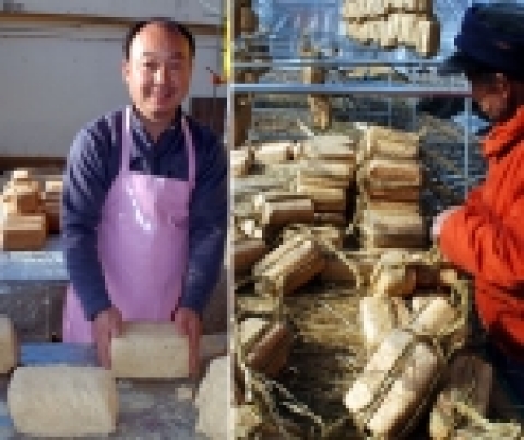 메주를 만들고 있는 해동백제 윤병하 사장(좌), 메주를 매달기 위해 볏짚 새끼줄로 묶는 모습