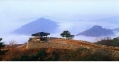 회장 “김 정 운” 作 <금성山城>