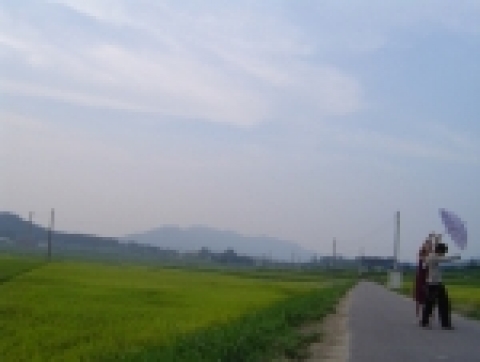 영화 '창문너머 별'