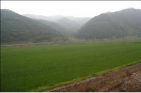 통일조림지