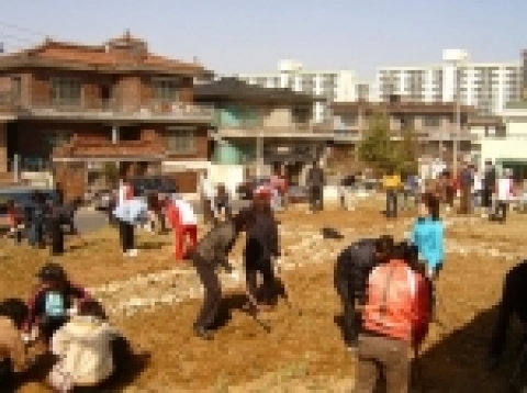 환경불량 공한지 꽃동산 조성 