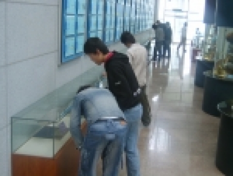 보호관찰청소년들이 통영수산과학관에서 전시물을 신기하듯 관찰하고 있다