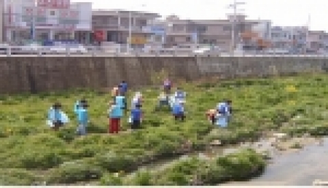 창원시 상남동에서 실시하는 토월천 정비