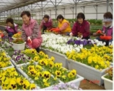 창원시 야철축제 꽃단장 한창