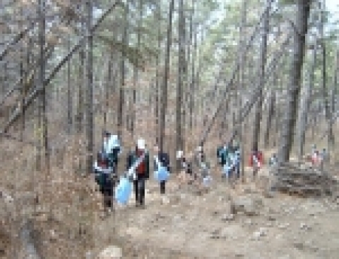 창원시 사파동 대암산에서 자연정화활동하는 모습