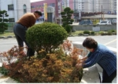 꽃나무 심는 장면