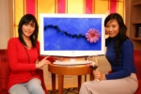 와인 컨셉의 감각적 디자인을 채용한 삼성전자의 명품 LCD TV '보르도' 세계최고 수준의 5000:1 명암비, 5조 4천억컬러의 색재현성, 6ms 응답속도 등 