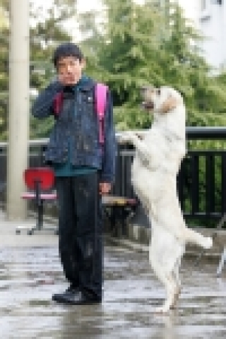 영화 <마음이…>