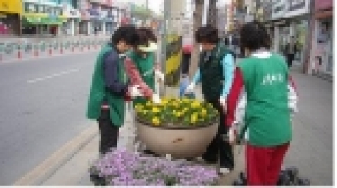 청주시 구룡로(복대4거리~발산교) 0.5km 구간의 126개 대형화분에 봄꽃 7,500여 본을 식재하는 모습