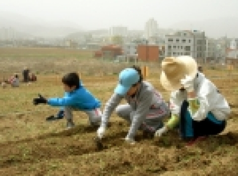 주말은 영남대 텃밭에서 가족과 함께...