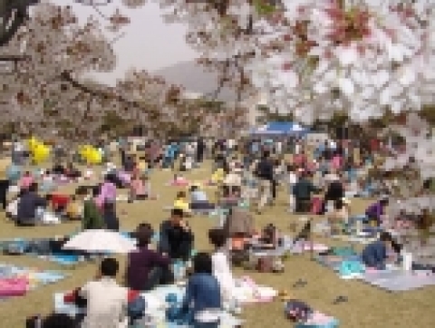 지난 9일 오전 창원 용지공원에서 제16회 경남은행 여성백일장 및 어린이 사생실기대회가 한창이다