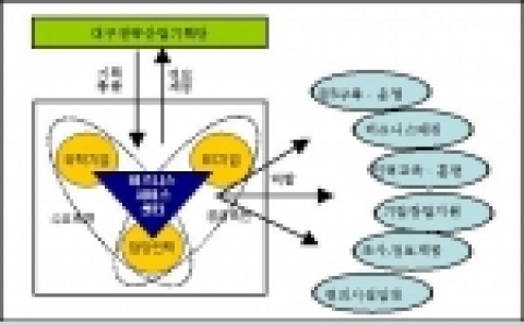 비즈니스서비스센터 추진체계