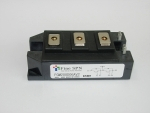 화인SPN은 세계적 수준의 성능을 자랑하는 600V 75A, 150A, 200A, 400A급 IGBT 모듈 4종을 국내 최초로 개발했다고 발표했다.