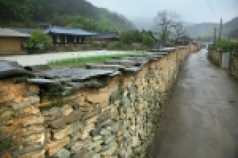 고성 학동마을 돌담길