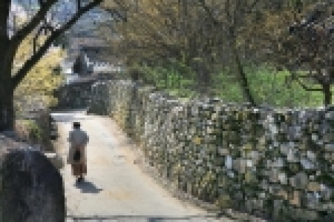 군위 부계 한밤마을 돌담길