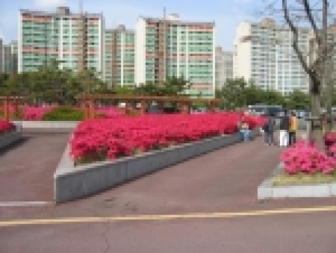 영산홍동산이 휴식공간으로 시민들에게 인기를 받고 있다