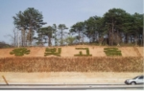 우치공원 앞 절개지 꽃 단지 조성한 모습