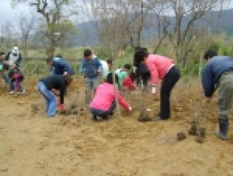 학교 숲 가꾸기 일환으로 나무 심는 장면