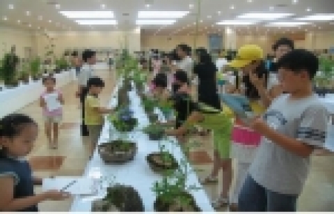 봄맞이 우리꽃(野生化) 전시회