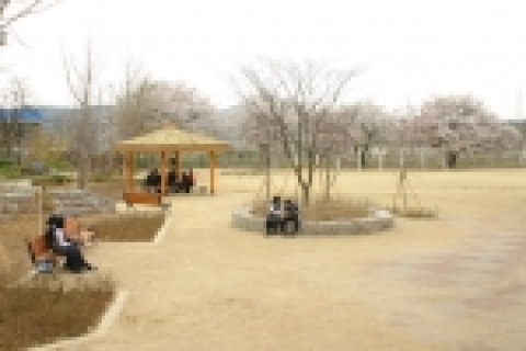 공원 모습