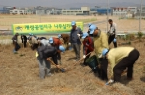산림청은 지난 4월27일 황폐한 북한 산림의 지속적인 복구를 위해 통일부, 산림분야 관련인사, 개성공단 관계자 등 250여명이 참여한 가운데 북한 개성공업지구 나무심기 행사를 가졌