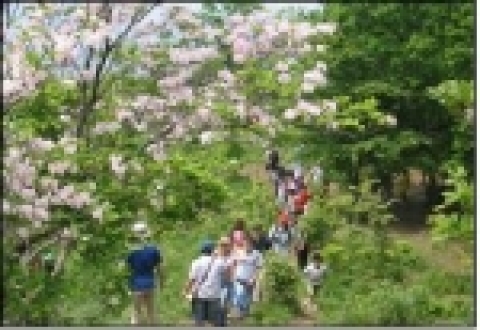 철쭉동산