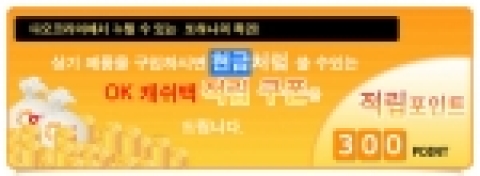 캐쉬백포인트 300점적립