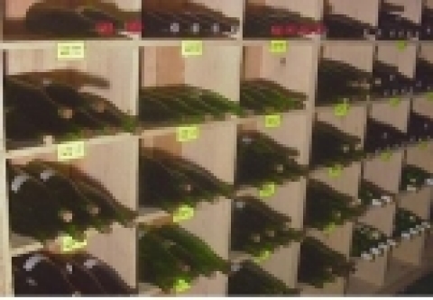저장고에서 숙성중인 감귤주