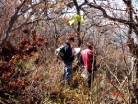 북부지방산림청, 기능별 산림조사로 세분화된 산림경영 추진
