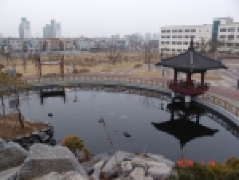 시민의 강