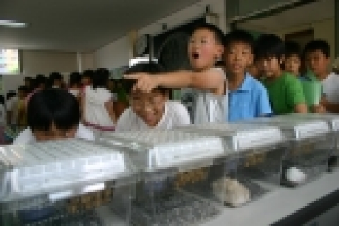 2005년 과학의 날 21세기생명과학문화재단 전시 부스 4