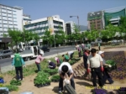 창원시 중앙동 주민참여형 꽃동산 조성